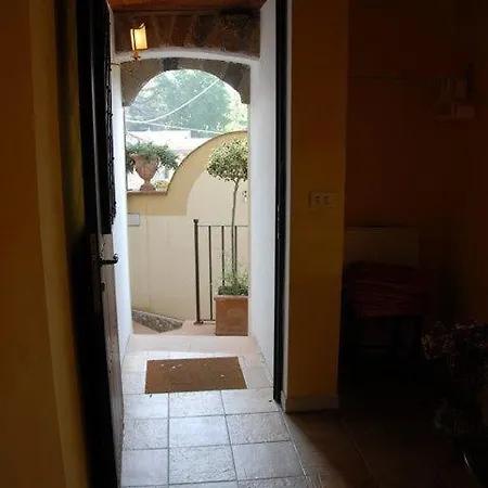 Agrifoglio *